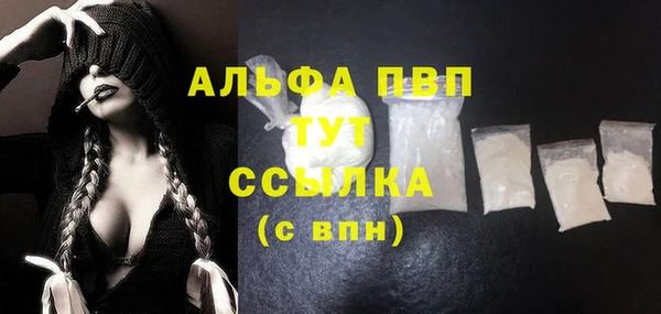 хмурый Новозыбков