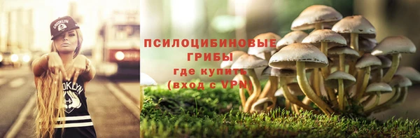 хмурый Новозыбков
