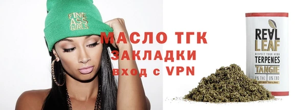 хмурый Новозыбков