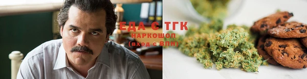 хмурый Новозыбков