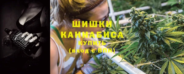 хмурый Новозыбков