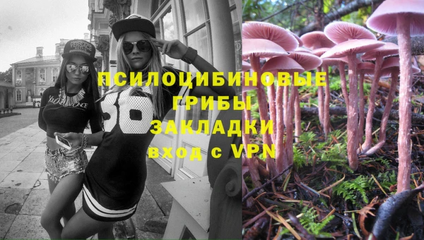 хмурый Новозыбков