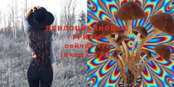 хмурый Новозыбков