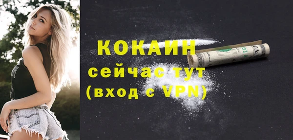 хмурый Новозыбков