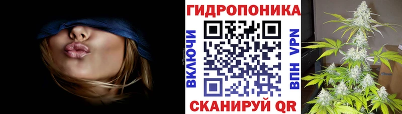 Шишки марихуана сатива  как найти закладки  Остров 